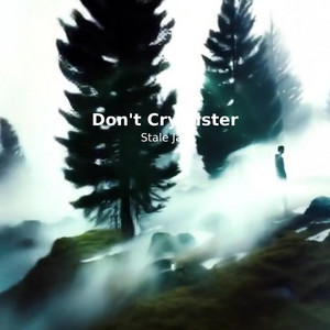 Don't Cry Sister cover